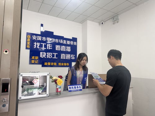 安国 零工 小市场 撬动就业 大民生 央广网